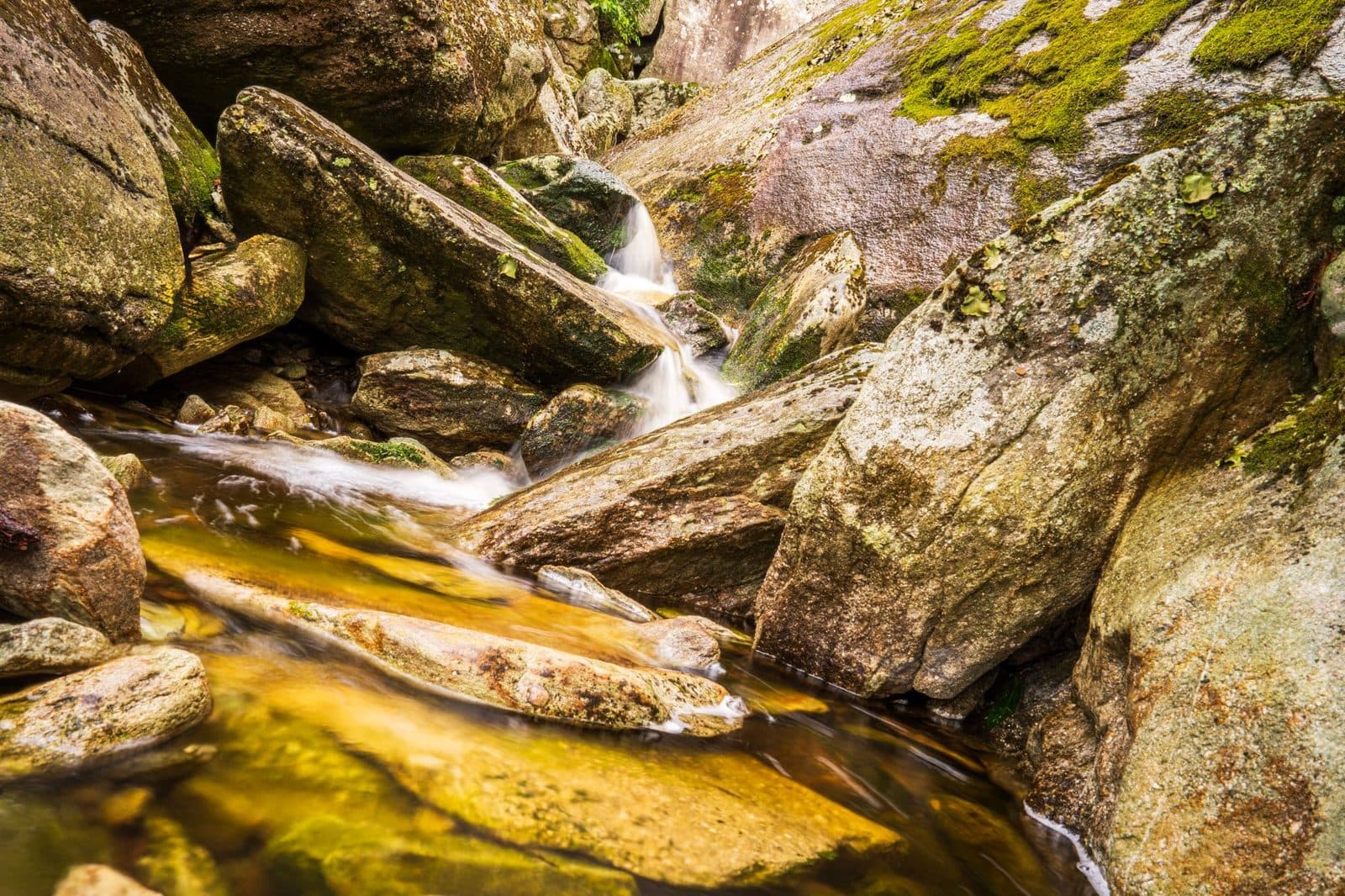 Flow Funding Activation